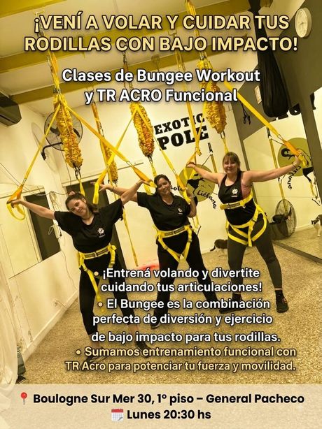 Placa de Bungee Workout y funcional
